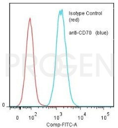 anti-CD70 mouse monoclonal, EBS-CD-039, purified