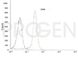 anti-CD38 mouse monoclonal, FS02, purified