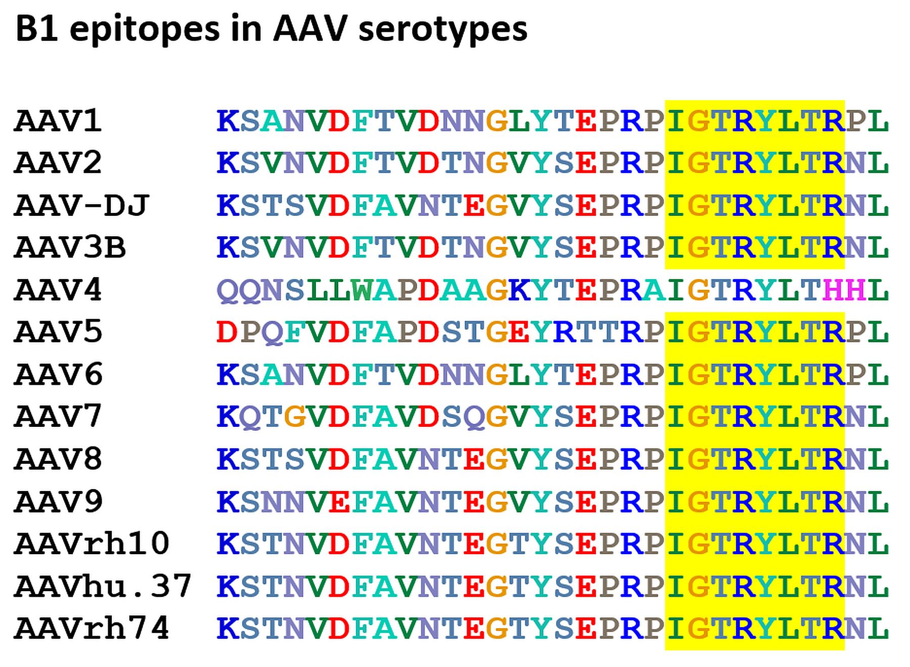 anti-AAV VP1/VP2/VP3 mouse monoclonal, B1, supernatant