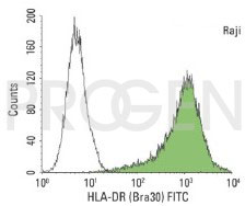 anti-MHC II DR (alpha + beta chain) mouse monoclonal, Bra30, purified