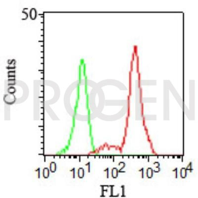 anti-CD11c mouse monoclonal, EBS-CD-011, purified