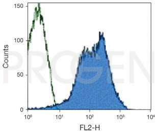 anti-CD55 mouse monoclonal, 143-30, purified