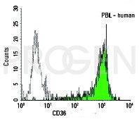 anti-CD36 mouse monoclonal, EBS-CD-023, purified